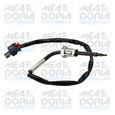 Sensor, exhaust gas temperature